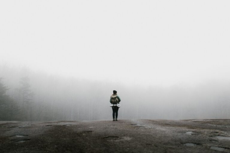 andrew-neel-aebPbwAWjDs-unsplash (1)